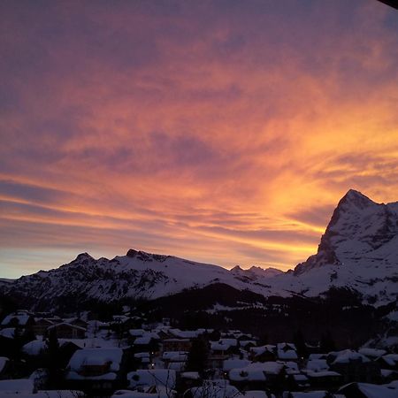 Chalet Schoenbuehl Mürren Eksteriør billede