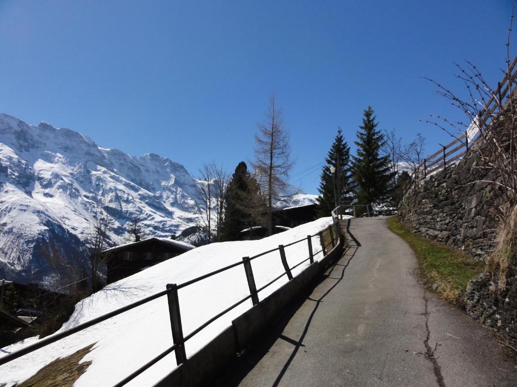 Chalet Schoenbuehl Mürren Eksteriør billede