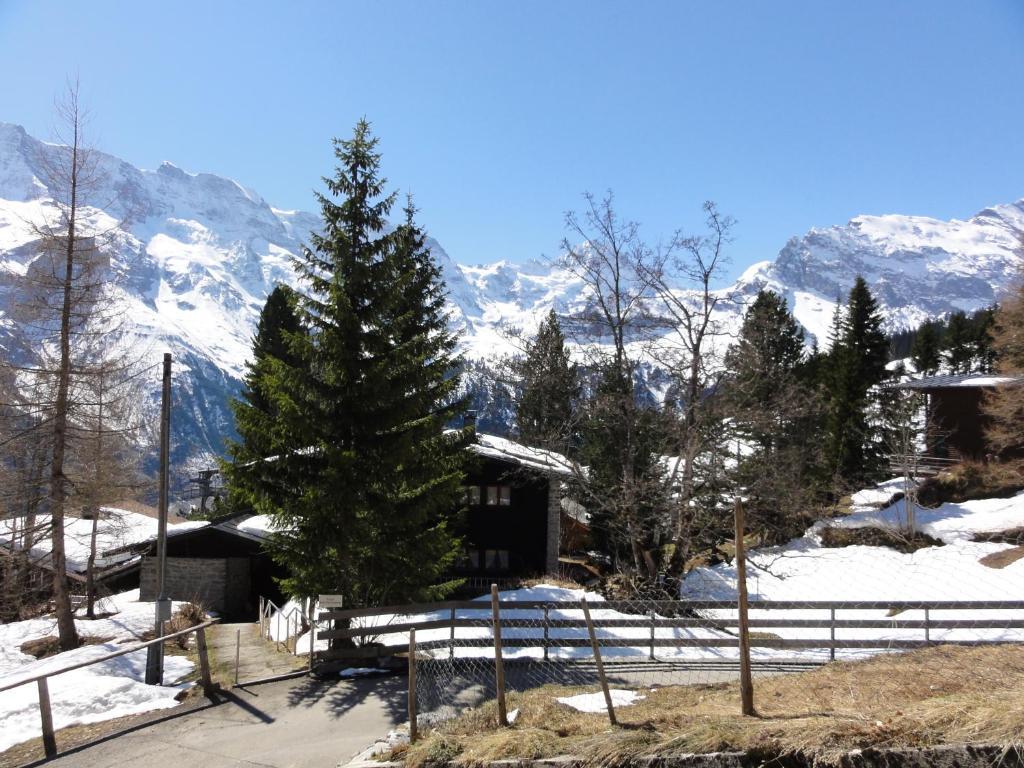 Chalet Schoenbuehl Mürren Eksteriør billede