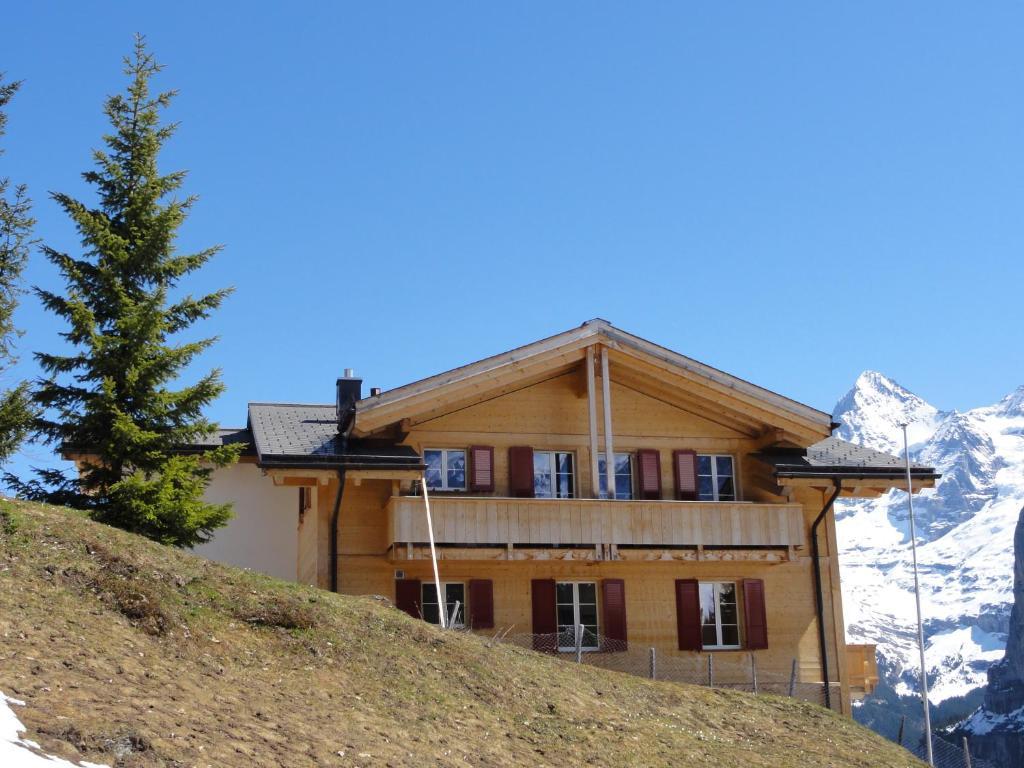 Chalet Schoenbuehl Mürren Eksteriør billede