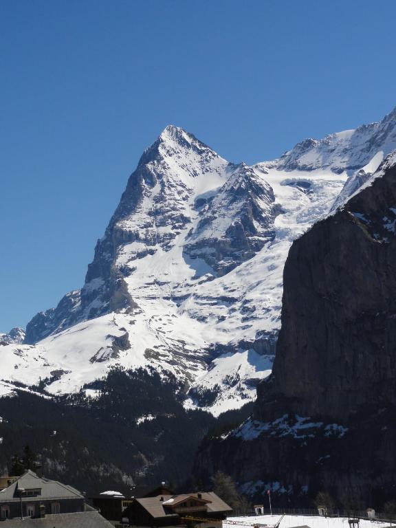 Chalet Schoenbuehl Mürren Eksteriør billede