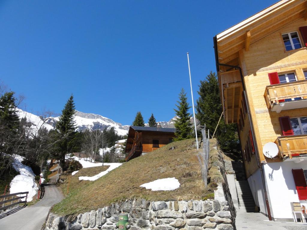 Chalet Schoenbuehl Mürren Eksteriør billede