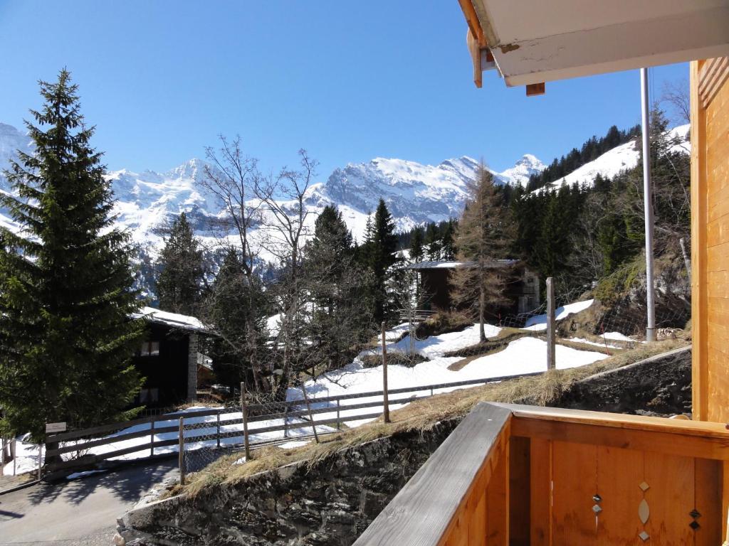 Chalet Schoenbuehl Mürren Eksteriør billede