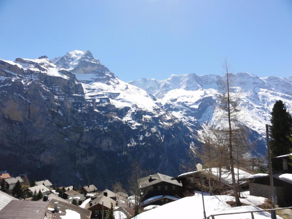 Chalet Schoenbuehl Mürren Eksteriør billede